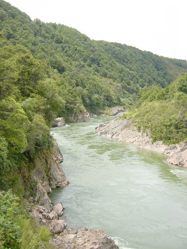 Dsc02676.jpg