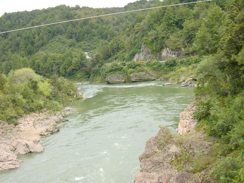 Dsc02677.jpg