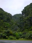 Dsc02699.jpg