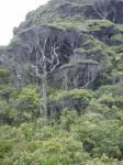 Dsc02700.jpg