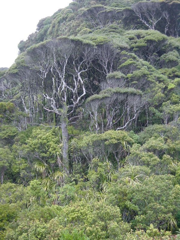 Dsc02700.jpg