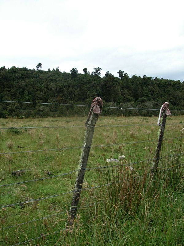 KS0167.jpg