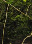 Dsc02790.jpg