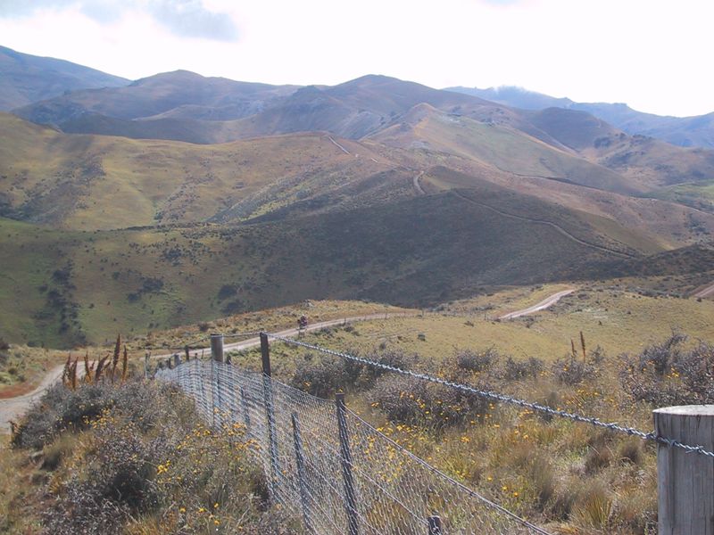 DCD5-006.jpg