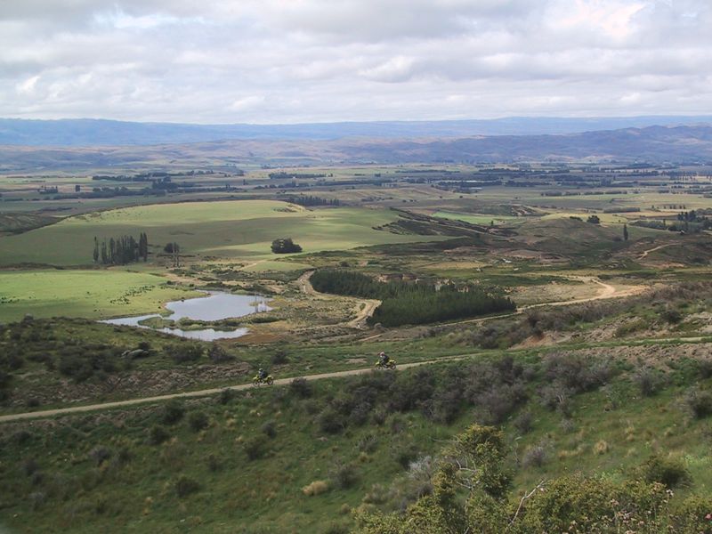 DCD5-009.jpg
