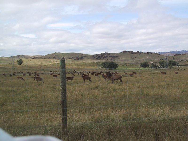 DCD5-018.jpg