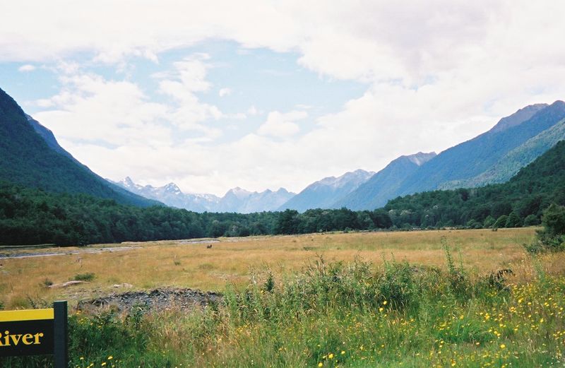 D6-019.jpg