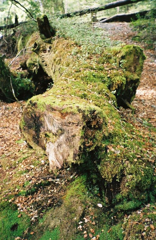D6-020.jpg