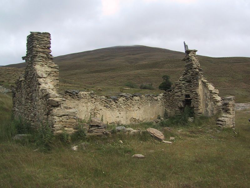 DCD6-004.jpg