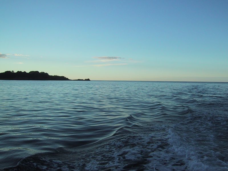 DCD6-035.jpg