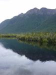 Dsc02884.jpg
