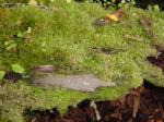 Dsc02880.jpg
