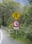 Dsc02890.jpg