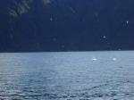 Dsc02916.jpg