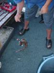 Dsc02925.jpg