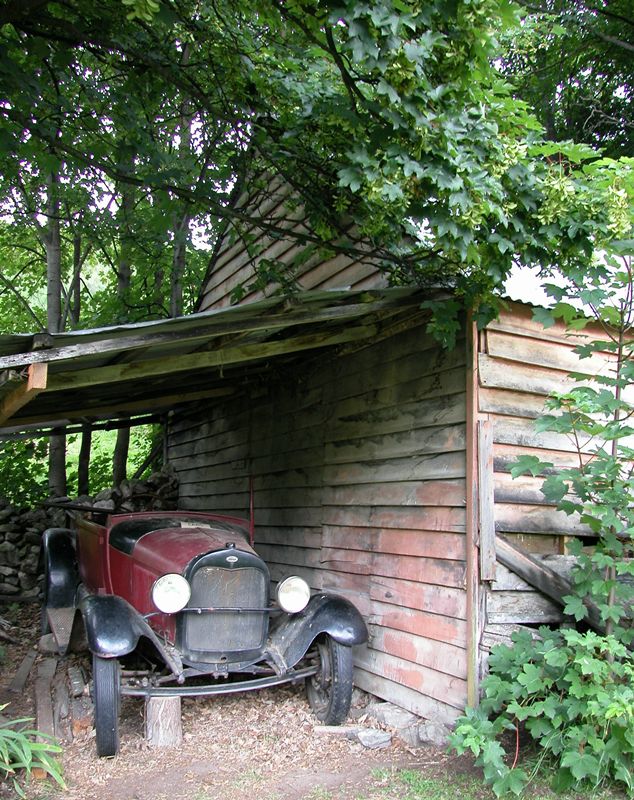 Ks0288.jpg