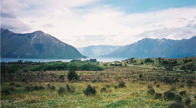 D7-040.jpg
