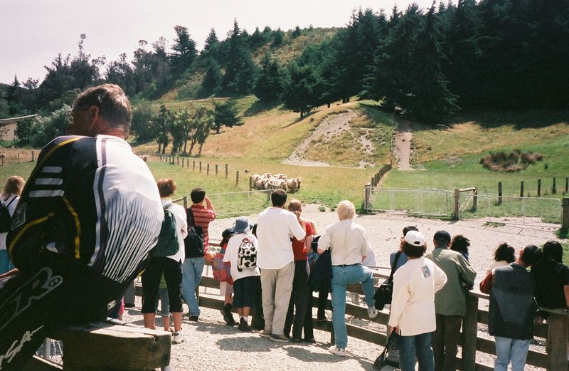 D7-052.jpg