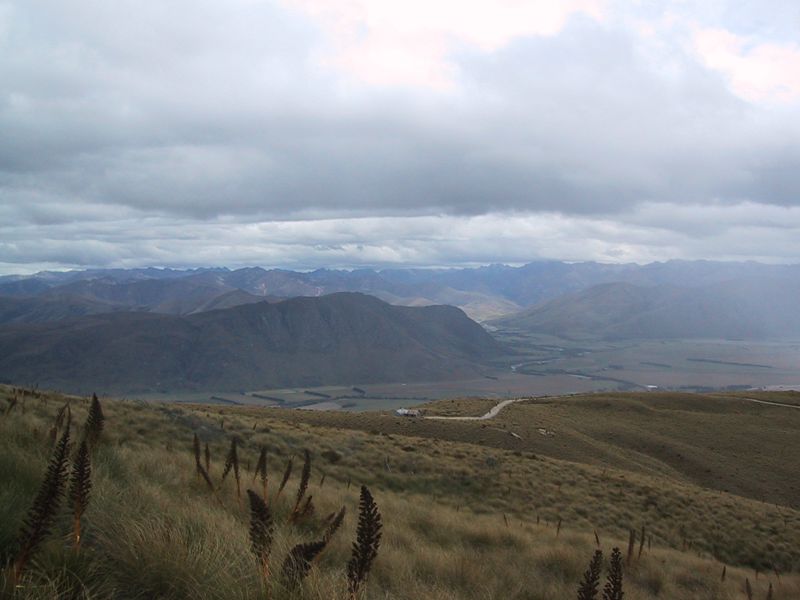 DCD7-004.jpg