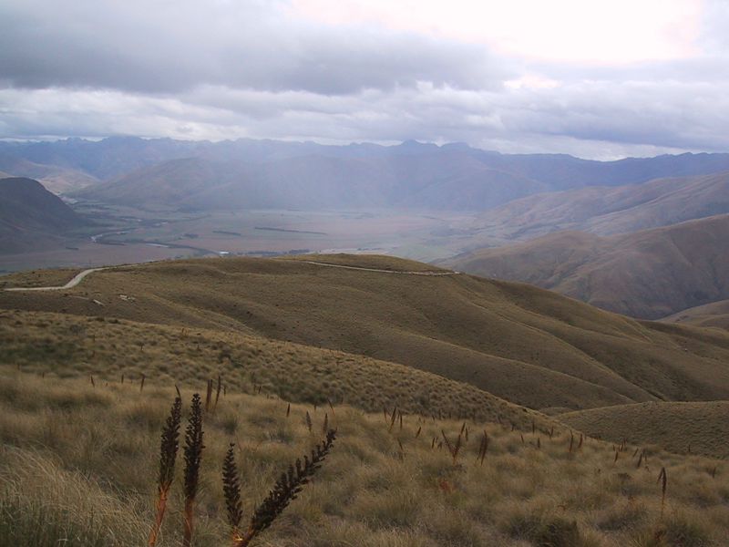 DCD7-005.jpg