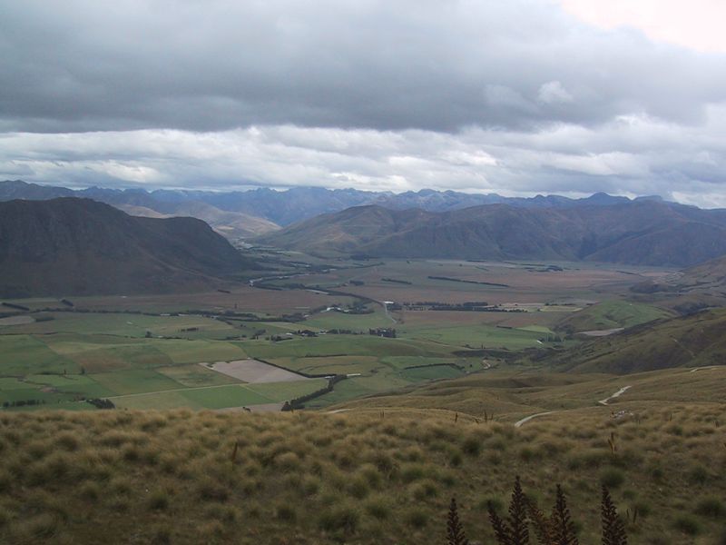 DCD7-006.jpg