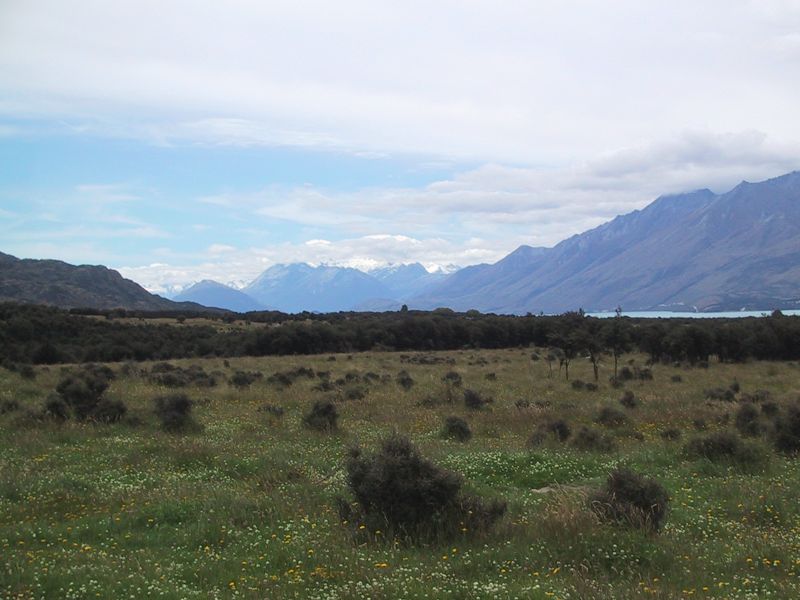 DCD7-015.jpg