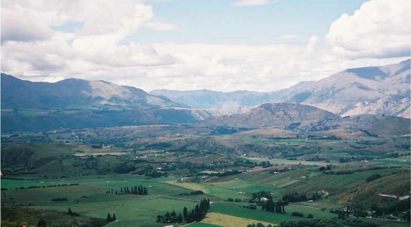 D8-011.jpg