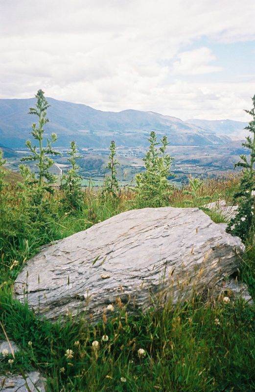 D8-016.jpg