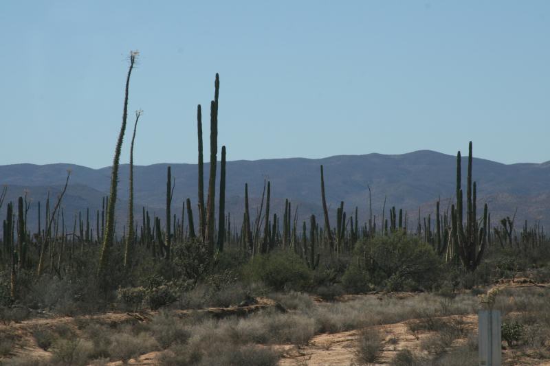 2006-11-17-30D-IMG_7010