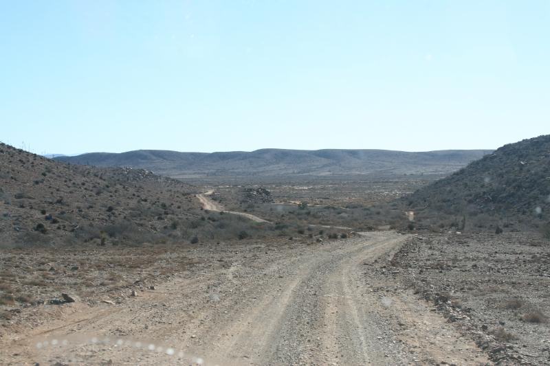 2006-11-18-30D-IMG_7044