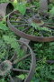 CRW_0123_JFR